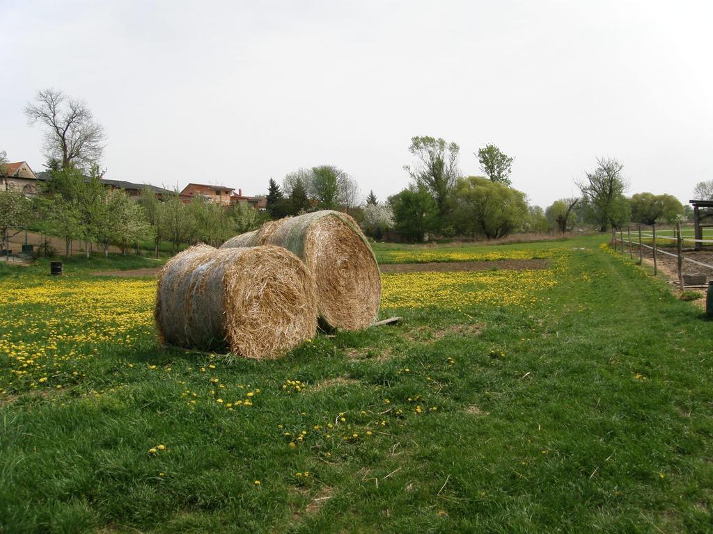Vinny Sklep Kovarna Rohatec Exterior photo